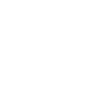 Partido Socialista Brasileiro